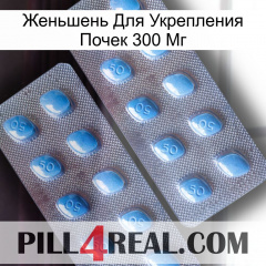 Женьшень Для Укрепления Почек 300 Мг viagra4